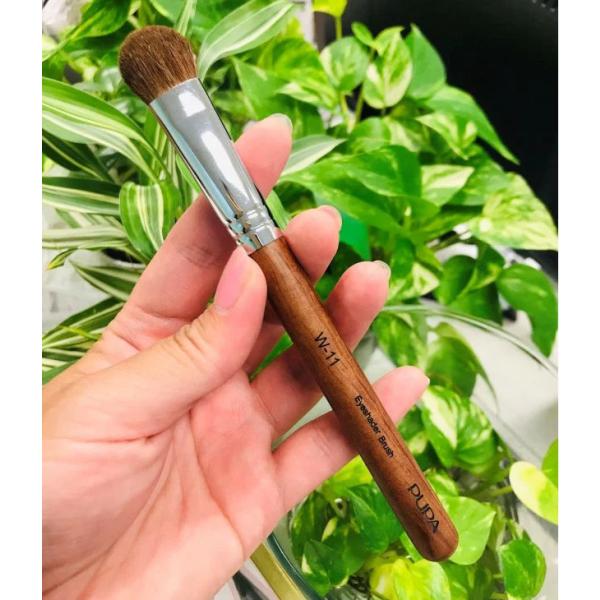 ACVhEuV ACz[uV CNuV n W-11