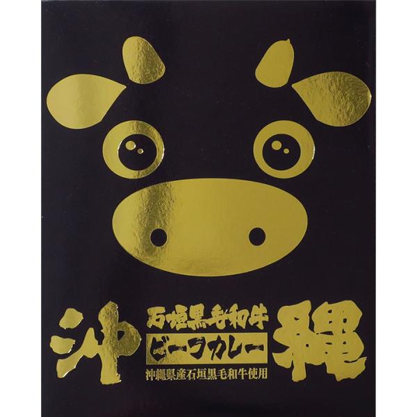 沖縄ご当地カレー * 石垣黒毛和牛ビーフカレー * レトルトカレー 常温保存