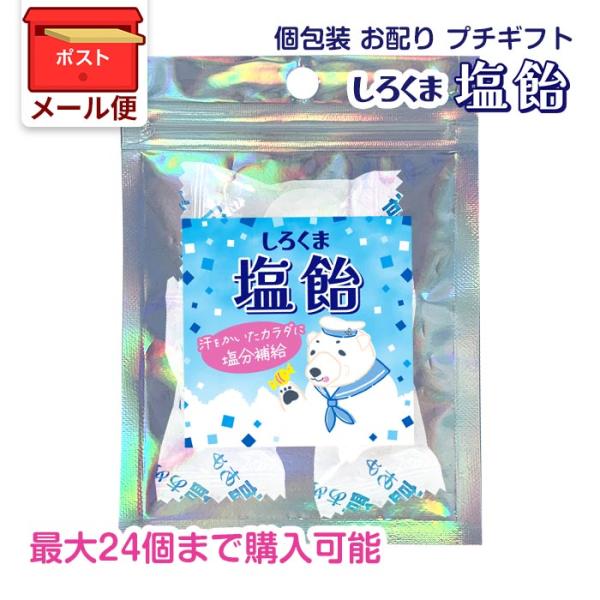 メール便(24個まで) しろくま塩飴 キラキラバッグ 1袋3粒入 塩あめ 個包装 小袋 まとめ買い プチギフト お菓子