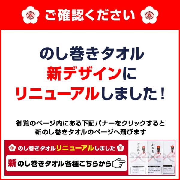 無地熨斗巻タオル 名刺ポケット付き のし巻タオル 無地のし 10枚セット 粗品タオル お年賀タオルとして 無地のしタオル 手ぬぐい 白タオル Buyee 日本代购平台 产品购物网站大全 Buyee一站式代购 Bot Online