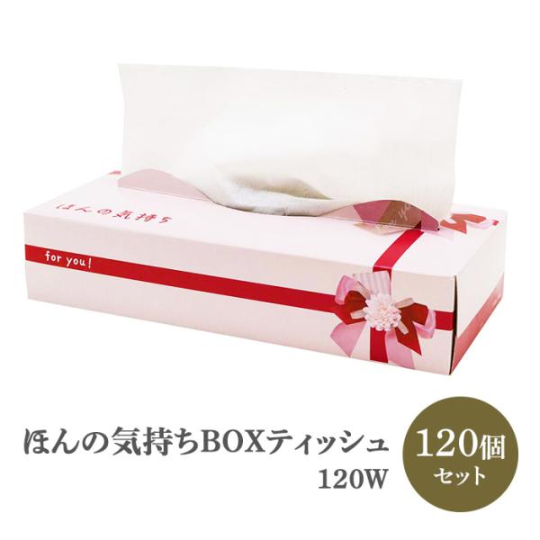 お試し。購入された場合はティッシュを発送します。 ほんの気持ち BOXティッシュ 120W 120個セット(2c/s)（20120143） 粗品