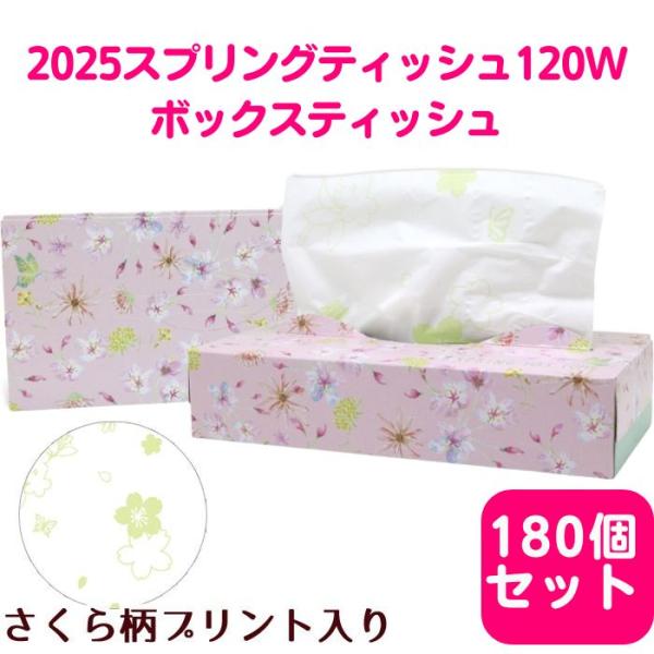 2025スプリングティッシュ 120W 180個セット(3c/s) (20120135