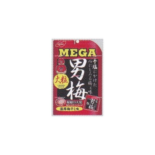 逆輸入 (本州送料無料) ノーベル 30g MEGA男梅 粒 (6×12)72入 (ケース販売) (Y10) 売れ筋アイテムラン-css.edu.om 逆輸入 (本州送料無料) ノーベル 30g MEGA男梅 粒 (6×12)72入 (ケース販売) (Y10) 売れ筋アイテムラン-css.edu.om