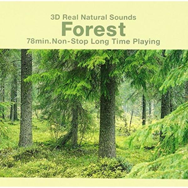 |3Dリアル自然音「森の静けさ」