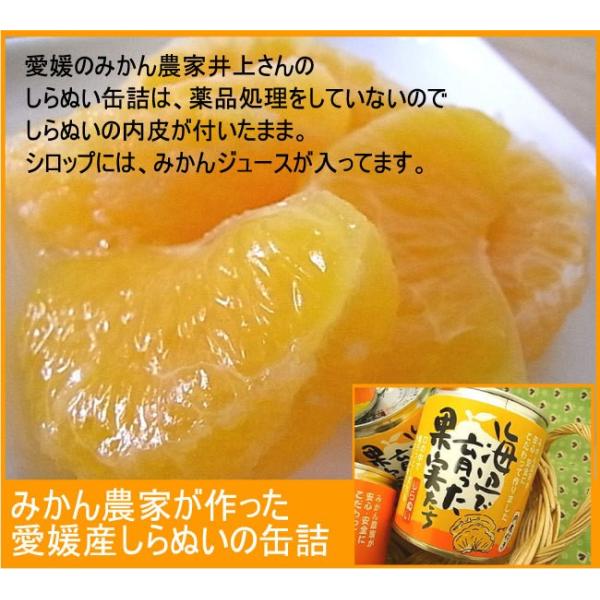 デコポン セットの人気商品 通販 価格比較 価格 Com