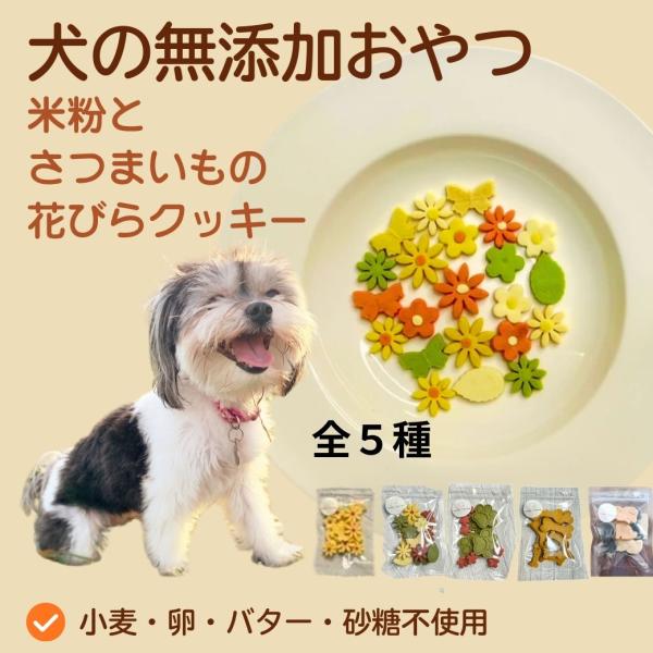 犬おやつ無添加 手作り野菜おからクッキー組み合わせ自由400g osakaminori_12wt10