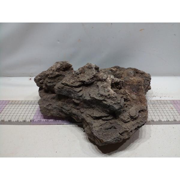 暗黒石 Lサイズ 18ｃｍ 一点もの Anl05 お魚倉庫 通販 Yahoo ショッピング