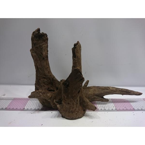 枝流木 ブラックホーン Mサイズ 30cm 一点もの Bhm05 お魚倉庫 通販 Yahoo ショッピング