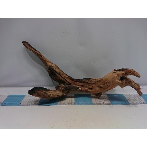 磨き枝流木プレミアムルートウッドlサイズ 35cm 一点もの Buyee Buyee 日本の通販商品 オークションの代理入札 代理購入