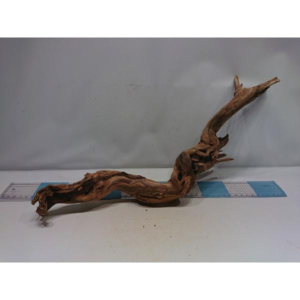 磨き枝流木プレミアムルートウッドlサイズ 30cm 一点もの Buyee Buyee 日本の通販商品 オークションの代理入札 代理購入