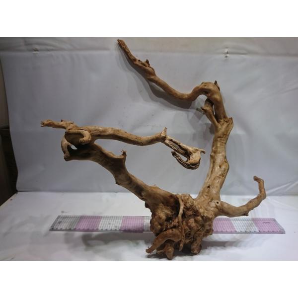 枝流木 ホワイトブランチウッド Lllサイズ 50cm 一点もの Buyee Buyee 提供一站式最全面最專業現地yahoo Japan拍賣代bid代拍代購服務 Bot Online