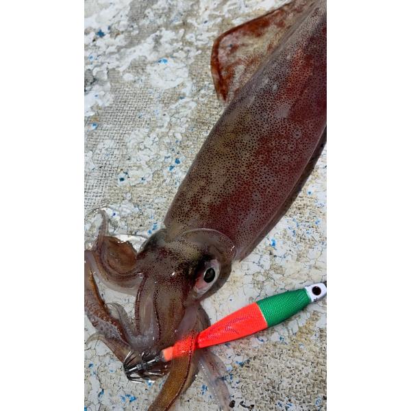 osakanazamurai_4510001636383a_2_d_20260330173045