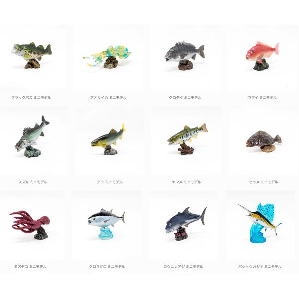 osakanazamurai_4571279384420a