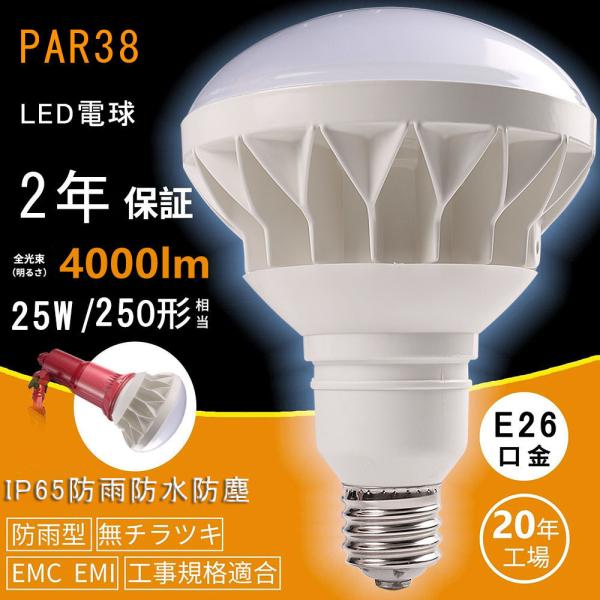 パーライト6台　PAR38 電球.クランプ付き パーライト6台 PAR38 電球.クランプ付き パーライト6台 PAR38