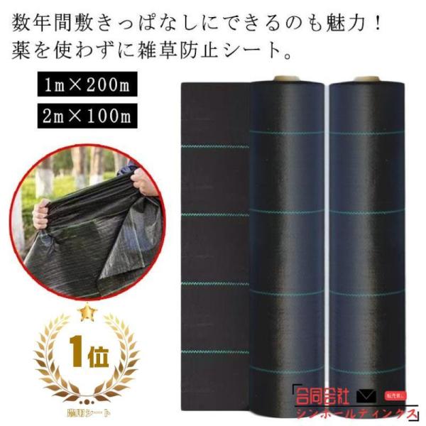 草 草除け 2m×100m 除草シート 草よけ 芝生 庭 農用シート 雑草 防草シート 人工芝 1m×200m 駐車場 防草シート 雑草防止 雑草対策