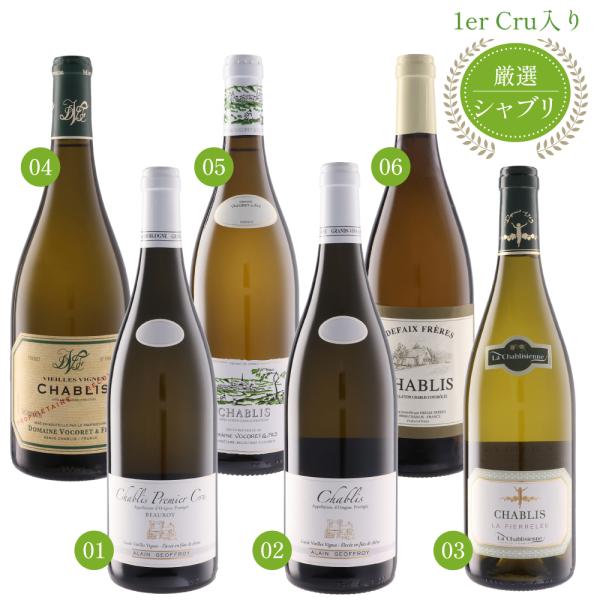 【送料無料 6本セット】 プルミエ クリュ（1級）が入った シャブリ 750ml × 6本セット 辛口 白ワイン 飲み比べ