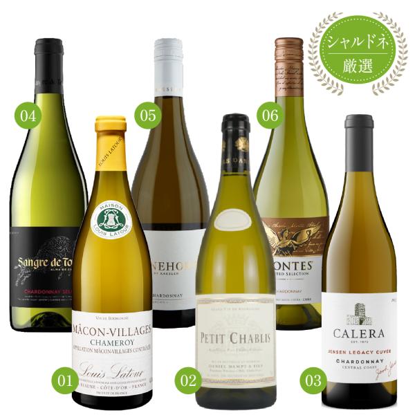 【送料無料 6本セット】 エノテカ 厳選 シャルドネ 白ワイン 750ml × 6本 セット アメリカ フランス スペイン オーストラリア チリ 送料無料