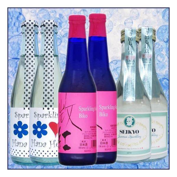 Xp[NO@{@ݔ׃ZbgiJ̌EؔE e2{j@