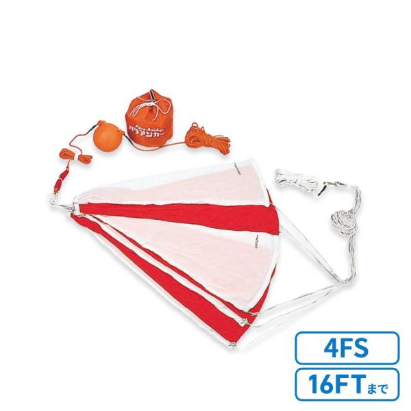 マリンマリンカード ＊シーラカンス＊ マリンマリンカード