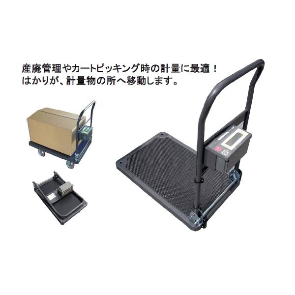 [J[i5ȍ~@@@y[J[iEsz`c@J[gXP[@ԁ@SD-100 @