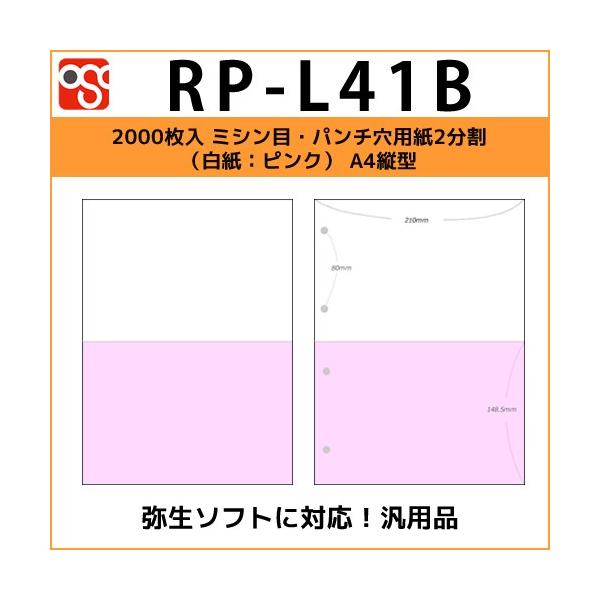 RP-L41B@2000 ~VځEp`p2iFsNj A4c^TCY