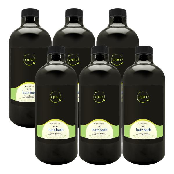 [6本セット]アマトラ QUO クゥオヘアバスes詰替1000ml×6個セット [レフィル/詰め替え][ヘアシャンプー][送料無料](6020900-set4)髪純度を高めて生まれたての無垢な美しさへ Amatora（アマトラ） [6本セット]アマトラ QUO クゥオヘアバスes詰替