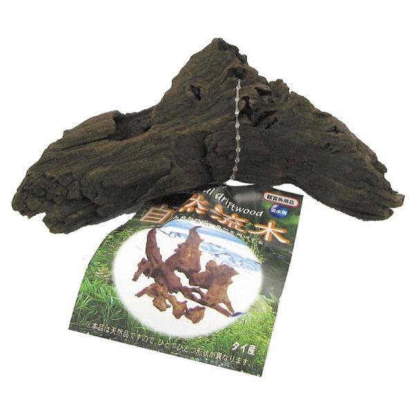 }J R ~j[happiest][SBT]