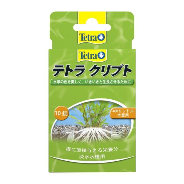 XyNguYWp eg Nvg 10[happiest][SBT]