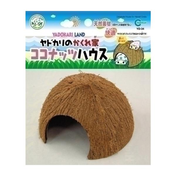 ・オカヤドカリは暗い場所に隠れることが大好きです。天然のヤシの実の「ココナッツハウス」でリラックスできる場所をつくってあげましょう。