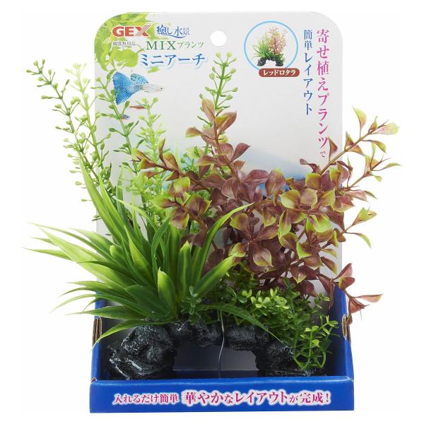 WFbNX i MIXvc ~jA[` bh^[happiest][SBT]