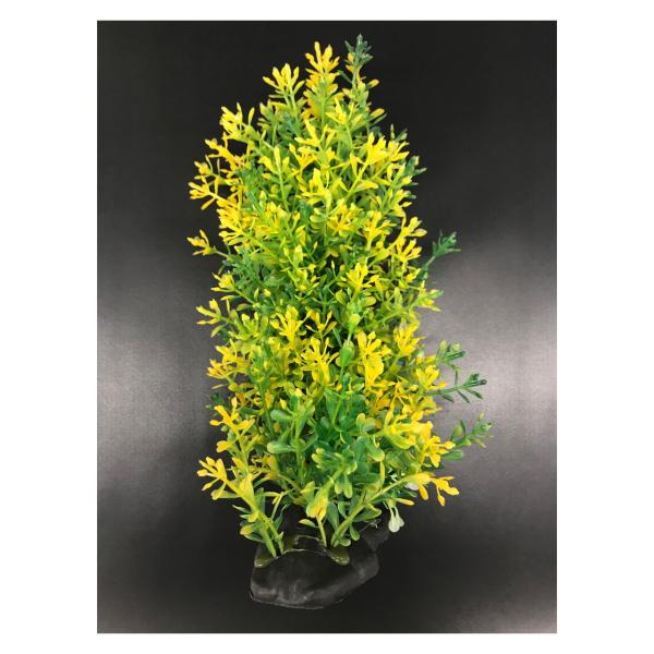 XyNguYWp eg tLVuvg FP-5[happiest][SBT]