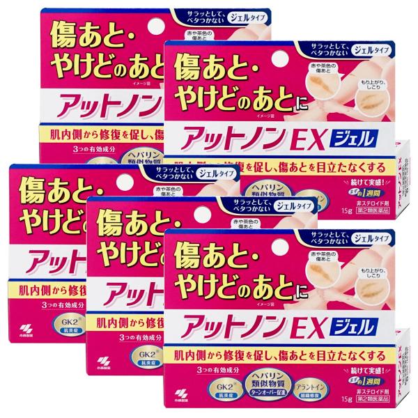 [楽天ランキング1位][第2類医薬品][セット]アットノンEXジェル 15g×5個[皮膚の薬][小林製薬株式会社][メール便送料無料]