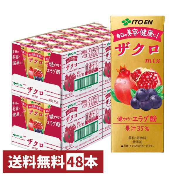 [セット]伊藤園 ザクロミックス 200ml×48本[2ケース 24本×2個]紙パック ザクロmix 健やかエラグ酸 果汁飲料[代引き不可][送料無料]*他商品との同梱不可