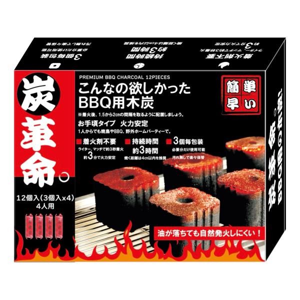 GIMMICK（ギミック） DSCジャパン 炭革命。 BBQ用木炭 お手頃タイプ12