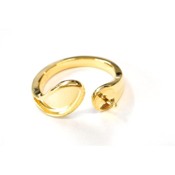 osharekizoku_ring-a-type