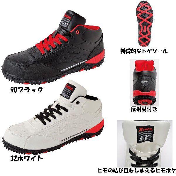 jp Z[teB[V[Y@gQ\[@23`29cmI