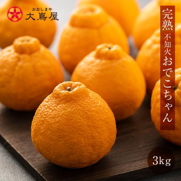 不知火 完熟 おでこちゃん 3kg 送料無料 <2025年2月上旬より 不知火 完熟 おでこちゃん 3kg 送料無料 <2025年2月上旬より