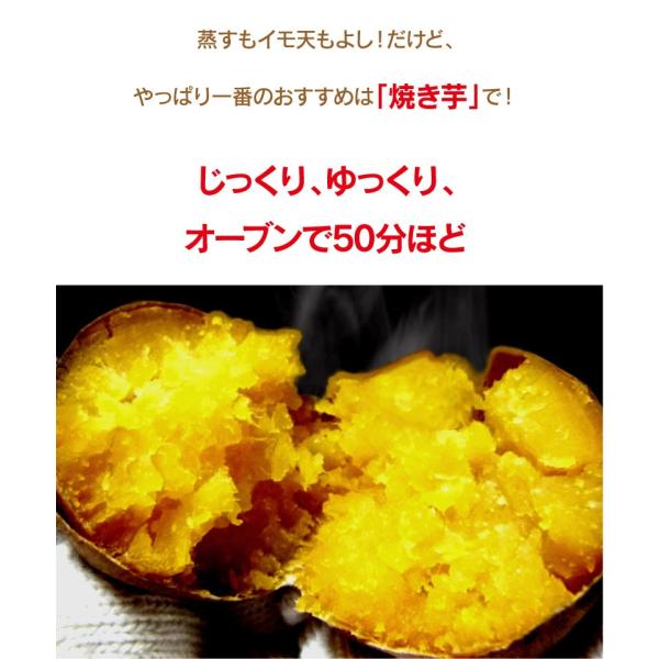 さつまいも 紅はるか 3kg 送料無料 サツマイモ べにはるか 生芋 さつま芋 唐芋 からいも 土付き 泥付き 野菜 料理 レシピ 国産 熊本 大嶌屋 おおしまや Pymr Go Th