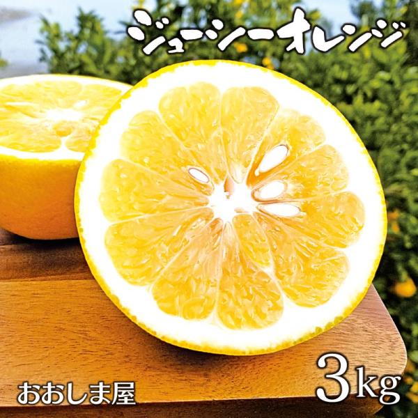 みかん ジューシーオレンジ 3kg 送料無料 ＜出荷時期4月上旬＞ 河内晩
