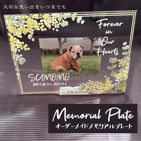 大切な思い出をいつまでも オーダーメイド オリジナル 遺影 仏具 位牌 ペット供養 記念 記念品 ペットロス 写真立て 写真 文字入り フォト 思い出