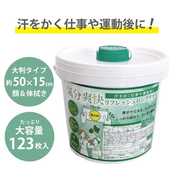【詰め替え用6個セット】 リフレッシュロングタオル 大容量123枚×6個セット SB11-6 大判 体拭きシート 汗拭きシート 冷たい メントール 冷感 冷却 現場 外仕事