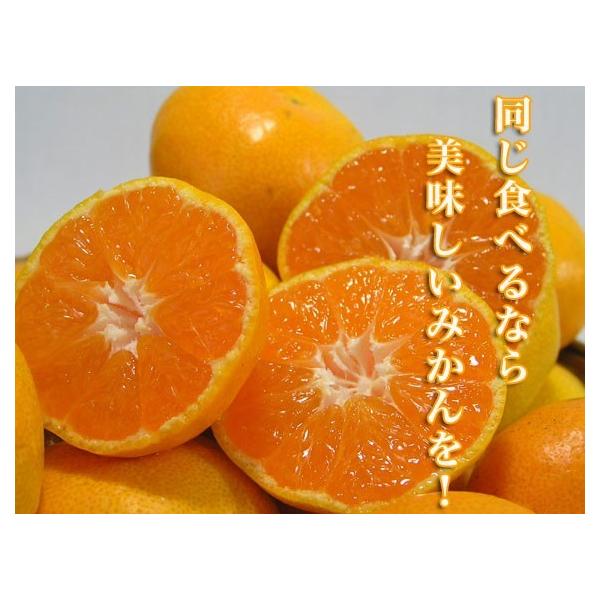 こだわり肥料で育てた有田みかん（小さいサイズ） 5kg【送料無料