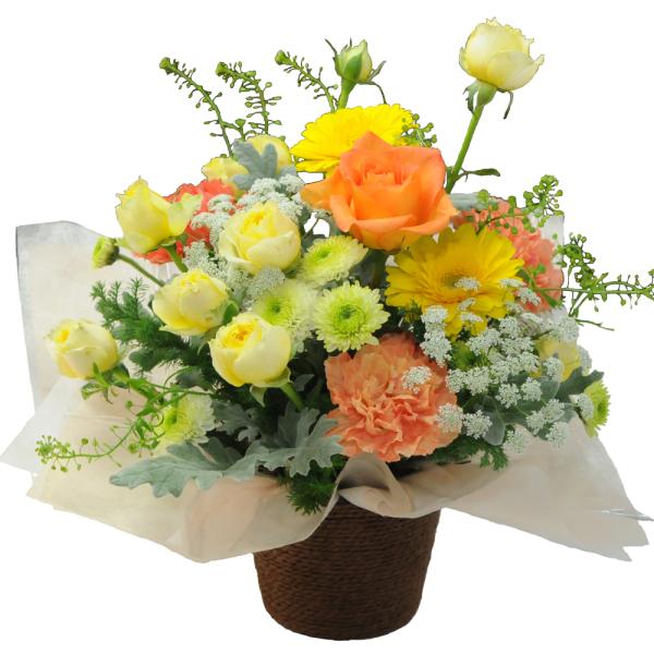 お供え 花 贈る ペット お悔やみ花 お供え花 ペット 犬 即日 お供え 仏花 即日 お悔やみ ラワーアレンジメント 犬 猫 ペット ペットのお供え 虹のはし