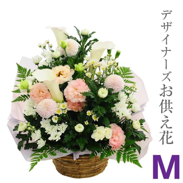 ފ              l\  @v @ zB { fUCi[Y  M