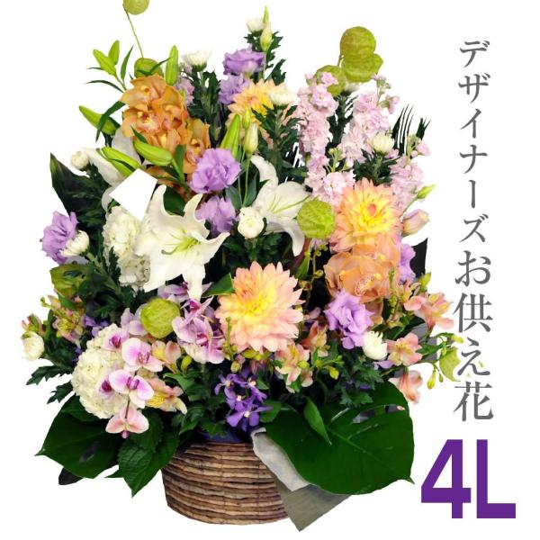 ފ               l\  @v @ {  fUCi[Y  4L