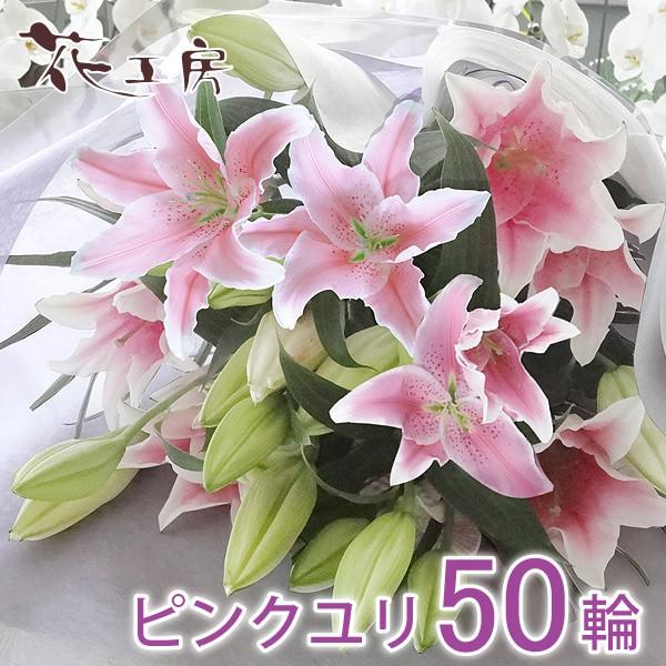        1  Q@v @ S  Q {  sN50ւ̉ԑ