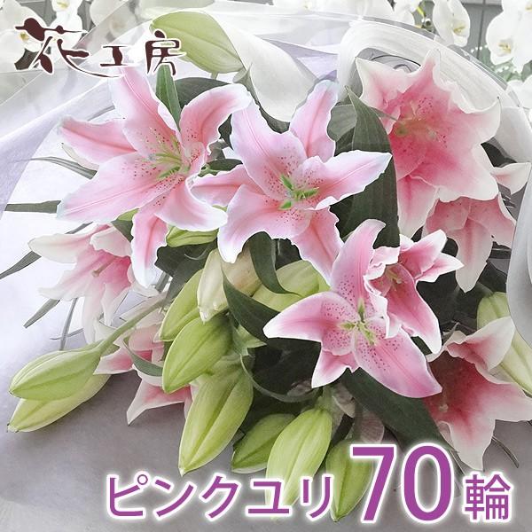       1  Q@v @ S  Q {  sN70ւ̉ԑ