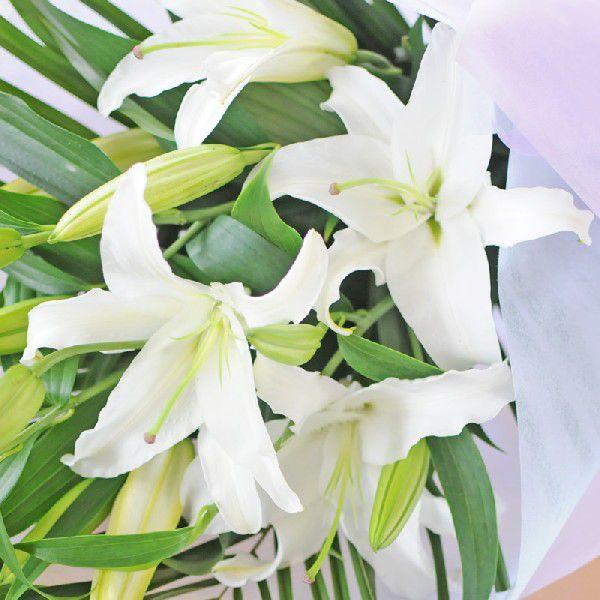 お供え お悔やみ お彼岸 お供え 花 命日 1周忌 白いゆりの花束25輪 供花 お墓参り お悔やみ 一周忌法要 法事 喪中はがきが届いたら 百合 ユリ お墓参り Buyee 日本代购平台 产品购物网站大全 Buyee一站式代购 Bot Online
