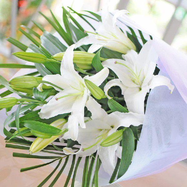 お供え お悔やみ お彼岸 お供え 花 命日 1周忌 白いゆりの花束25輪 供花 お墓参り お悔やみ 一周忌法要 法事 喪中はがきが届いたら 百合 ユリ お墓参り Buyee 日本代购平台 产品购物网站大全 Buyee一站式代购 Bot Online