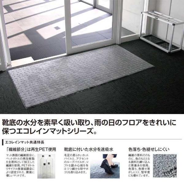 テラモト（TERAMOTO） 屋内 マット 吸水用 エコレインマット 45×75cm